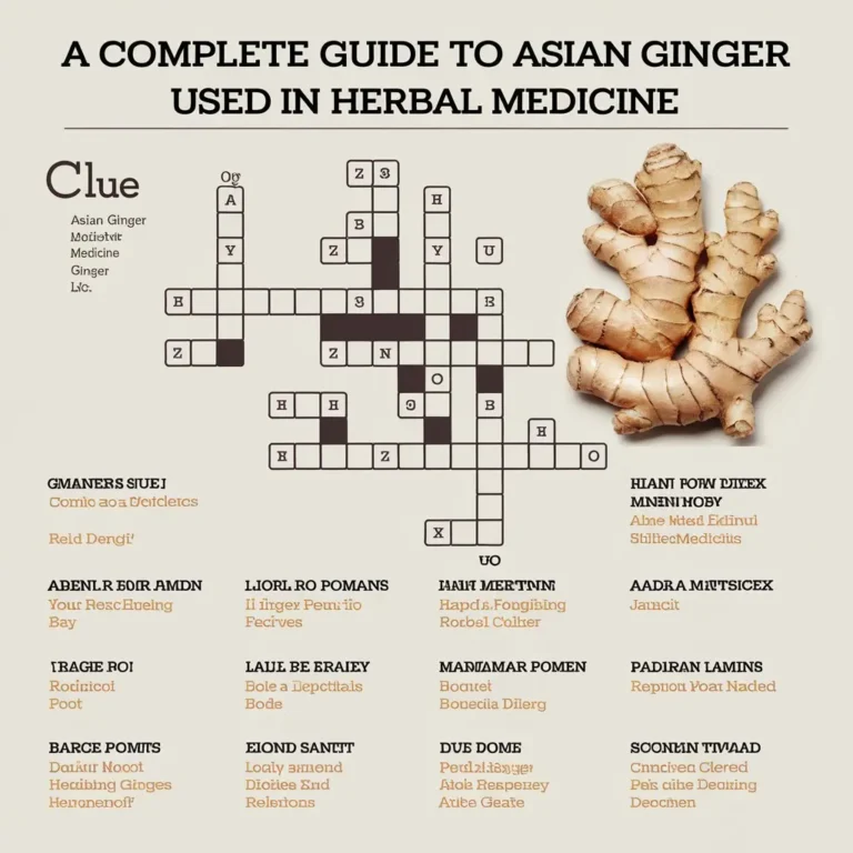 Asian Ginger Used in Herbal Medicine Crossword